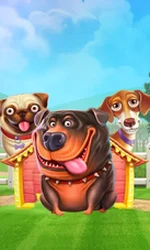 The Dog House